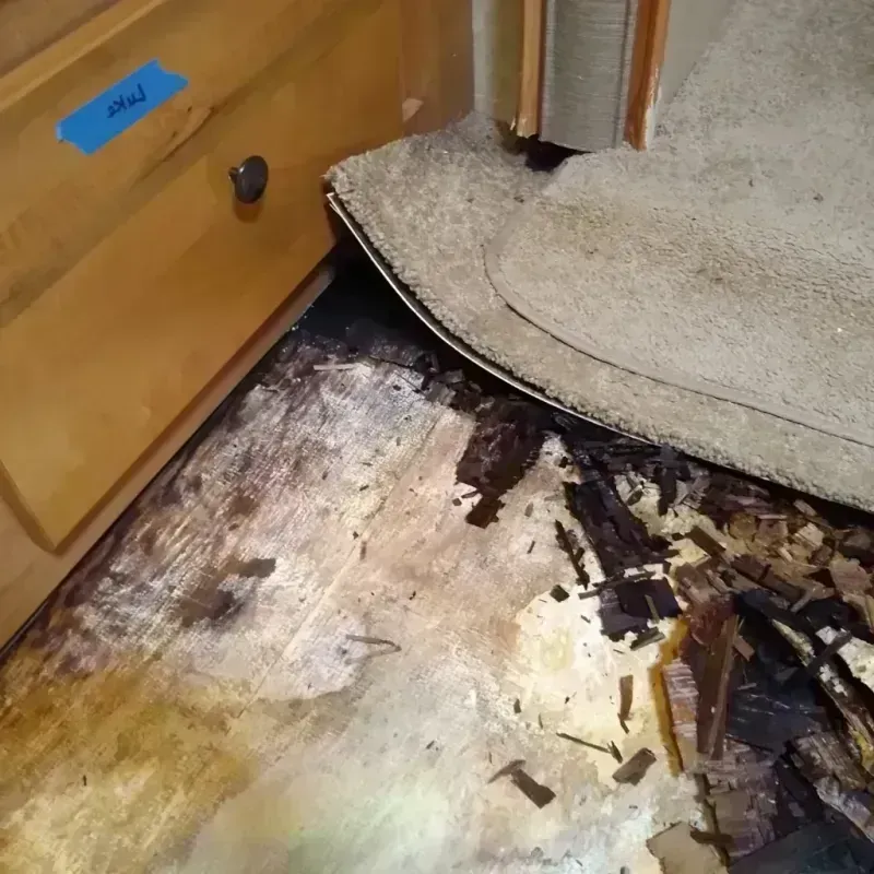 Best Wood Floor Water Damage Service in Oconee County, SC